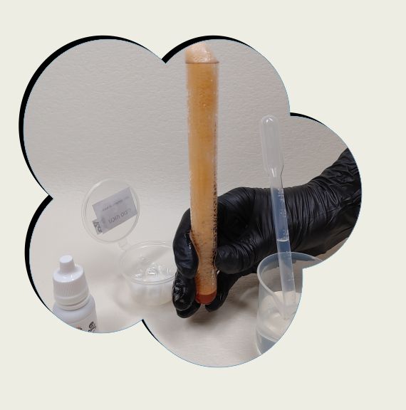 ערכת מדע כתום עולה - מארזי מתנה - שיגעון המדעים -מדע לילדים: ערכות מדע ציוד מעבדה ניסויים לילדים ערכת מדע להפעלה כתום עולה