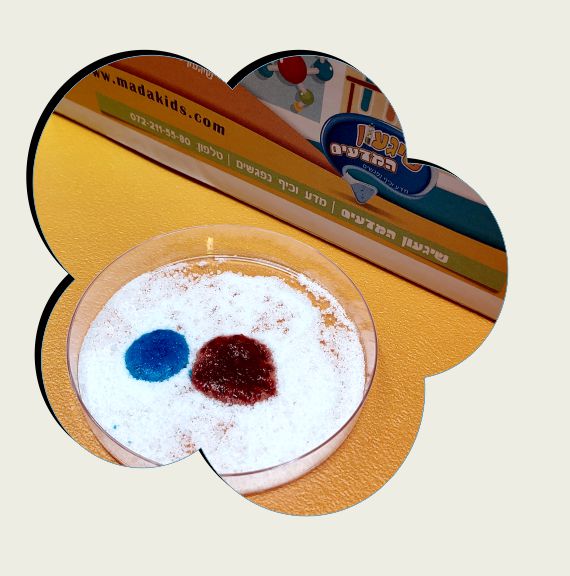 ערכת מדע שלג תוסס - ערכת מארז הפעלה - שיגעון המדעים -מדע לילדים: ערכות מדע ציוד מעבדה ניסויים לילדים ניסוי שלג תוסס