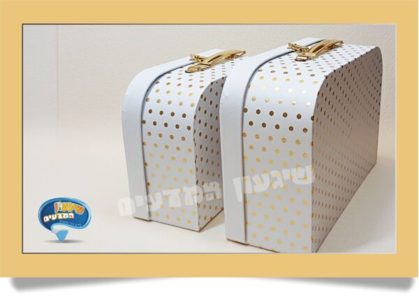 מזוודה לתחפושת - אביזרים לתחפושת מדען-תחפושת מדענית - שיגעון המדעים -מדע לילדים: ערכות מדע ציוד מעבדה ניסויים לילדים מזוודה מהודרת מקרטון