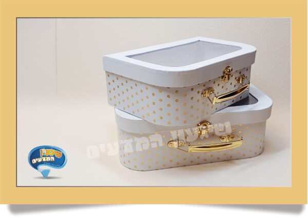 מזוודה לתחפושת - אביזרים לתחפושת מדען-תחפושת מדענית - שיגעון המדעים -מדע לילדים: ערכות מדע ציוד מעבדה ניסויים לילדים מזוודת קרטון