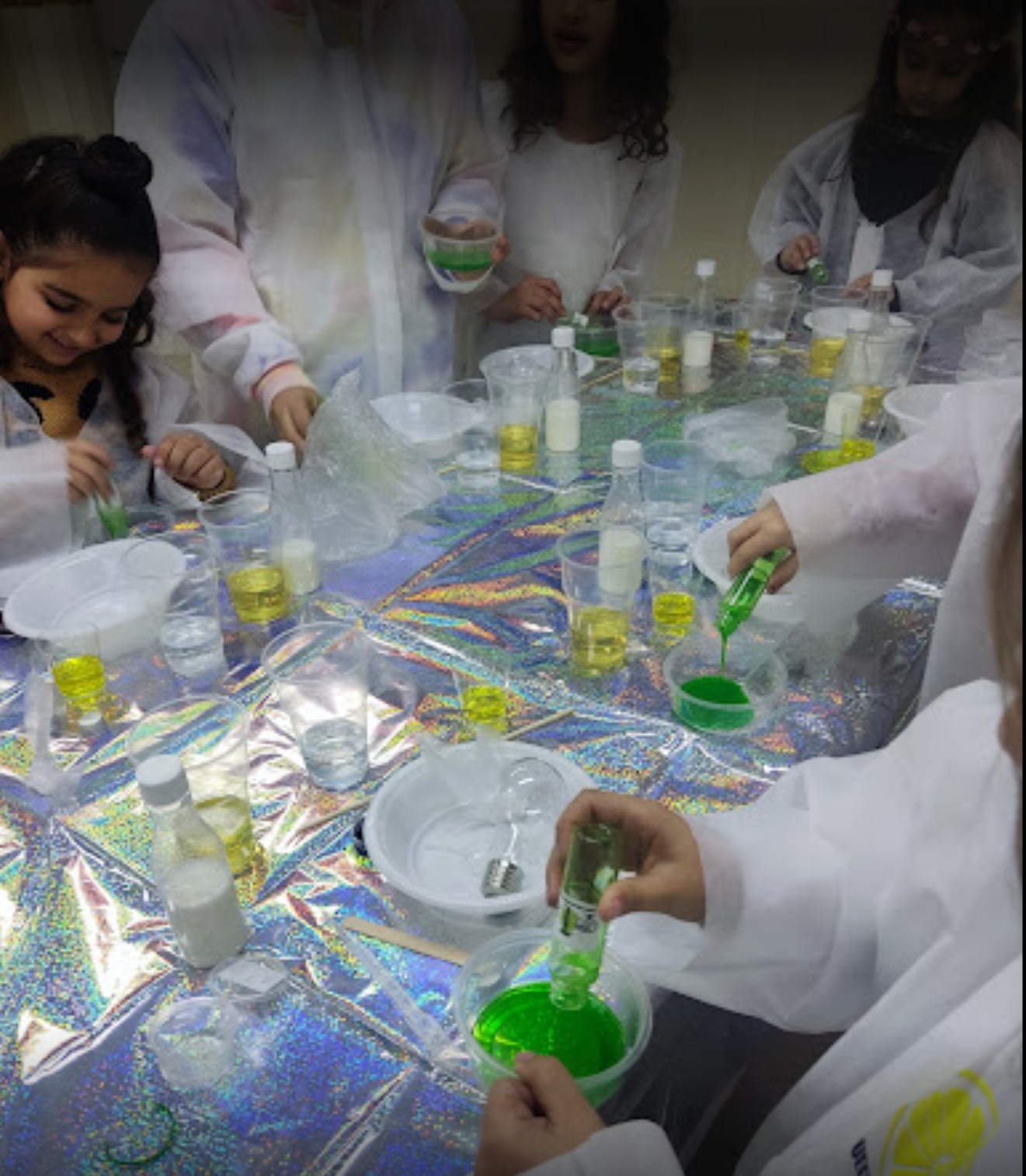 המלצה על שיגעון המדעים